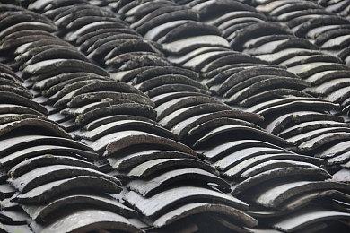 《弃海：波弟大冒险》全新宣传片 今日登陆Switch