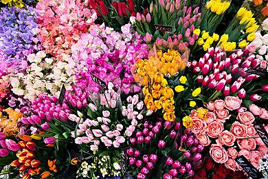 《黑暗之魂3》《艾尔登法环》作曲家离开FromSoftware